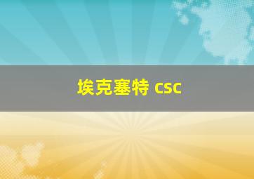 埃克塞特 csc